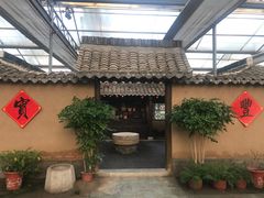 -上海都市菜园