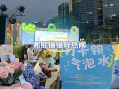 -合景·悠方(成都店)