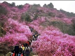 -常德桃花源景区