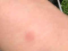 -苏州香山国际大酒店