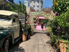 -The Grounds of Alexandria