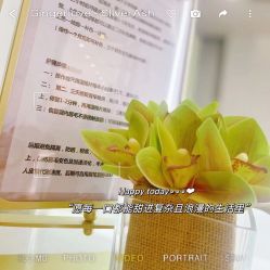 -MIVI野生眉纹绣纹眉