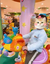 -莫莉幻想儿童乐园(武汉经开永旺店)