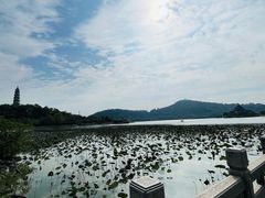 -顺峰山公园