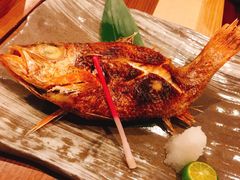 红睦鱼-炉匠炉端烧·酒(国金中心商场店)