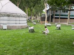 -九十九顶毡房(阜石路店)