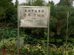 android_upload_pic-五甲塘生态湿地公园