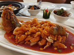 -大鸿运酒店·苏州菜·松鼠桂鱼(观前街店)