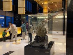 -上海龙之梦万丽酒店