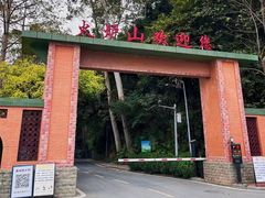 -火炉山森林公园