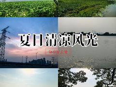 -东湖落雁景区
