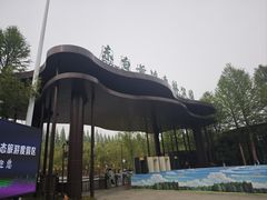 -黄海国家森林公园