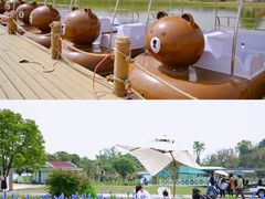 -空港花田景区