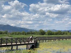 -野鸭湖国家湿地公园