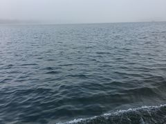 -西湖游船