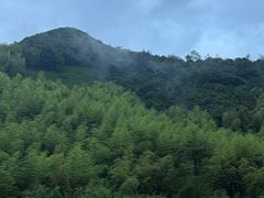 -看见远方·莫干遥远的山民宿