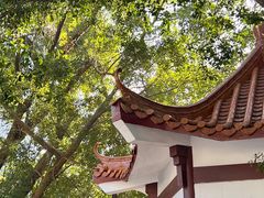 -深圳仙湖植物园