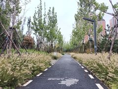 -北极寺公园