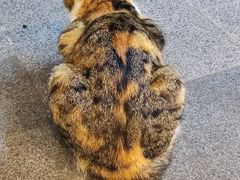 -达美乐比萨(商城路店)