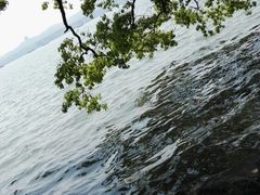 -西湖游船