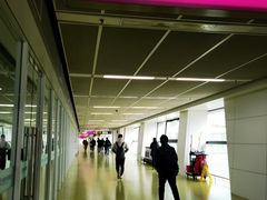 -郑州新郑国际机场-T2航站楼