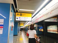 -大龙山(地铁站)