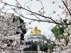 -苏州上方山国家森林公园
