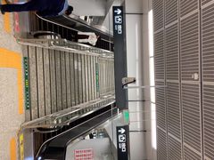 -奥体中心(地铁站)