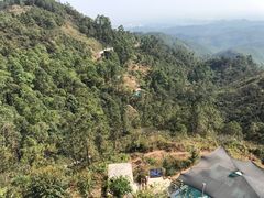 -山景山庄