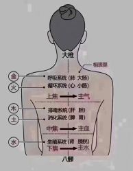 -香薇妮丝女子减肥院