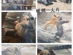 -北京动物园