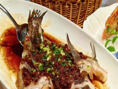 -南麓·浙里(外滩店)