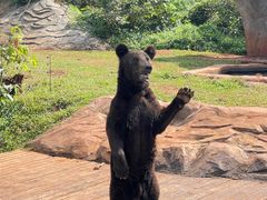 -海南热带野生动植物园