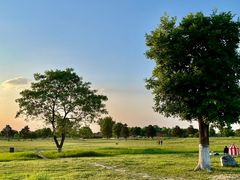 -汉长安城未央宫国家考古遗址公园