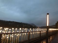 -广州市流溪河国家森林公园