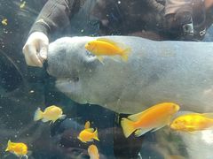 -南昌融创海世界