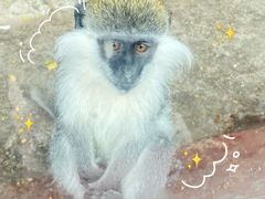 -新疆天山野生动物园