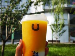 芒果卡士-春丽小马(济南恒隆广场店)