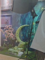 -爱儿美儿童摄影(奥森公园店)