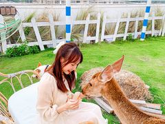 -Blue Concept Cafe&Farm·關於藍