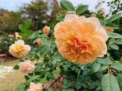 -人民公园(罗湖区)