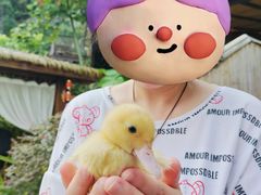 -伴山茶苑·一盏冰茶·半日山居