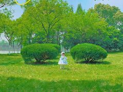 -瑶湖郊野森林公园