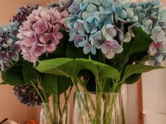 -茉里粤菜(皇姑万象汇店)