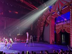 -珠海横琴长隆《卡卡虎奇遇记》