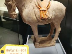 -隋唐大运河文化博物馆