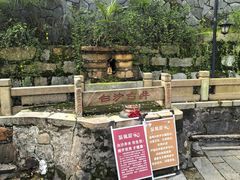 -白沙古井