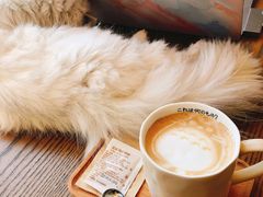 -猫的茶·猫咖