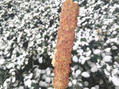 -成都美食巫山烤鱼(三里河路店)