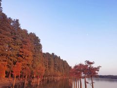 -南京枫彩漫城